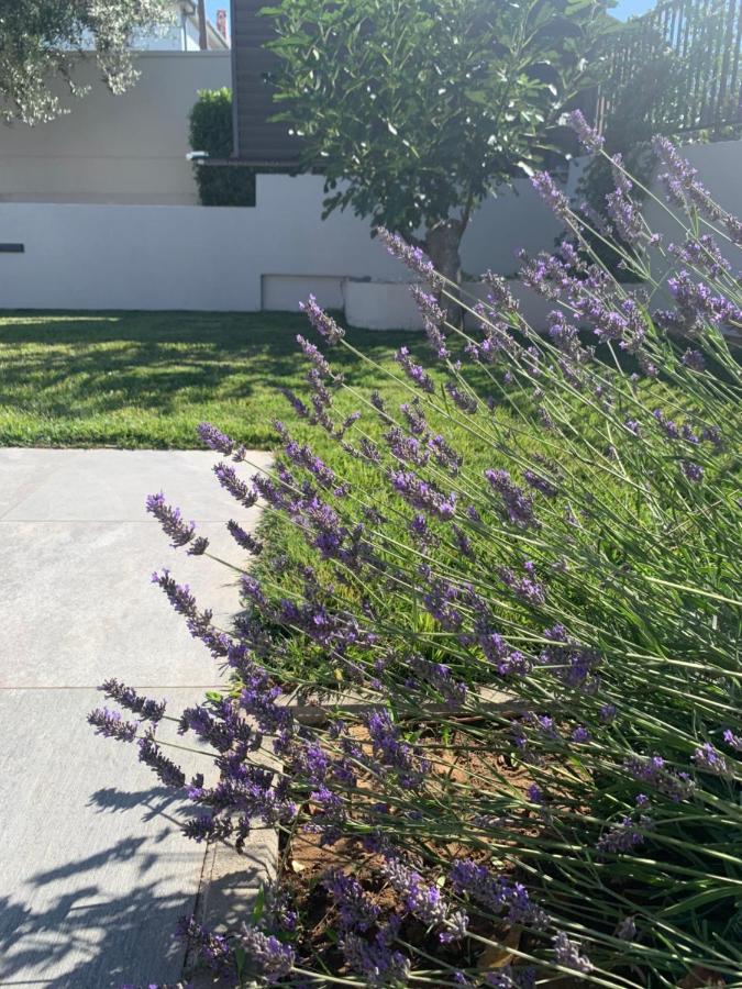 הוילה זאדאר Tony'S House With Private Pool, Garden And Parking מראה חיצוני תמונה